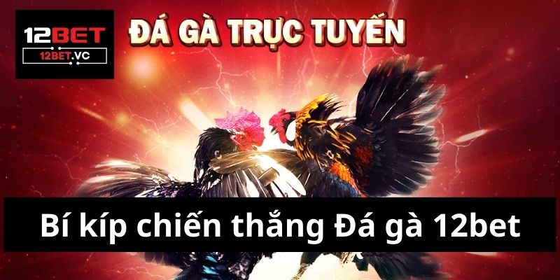 Đá gà 12bet