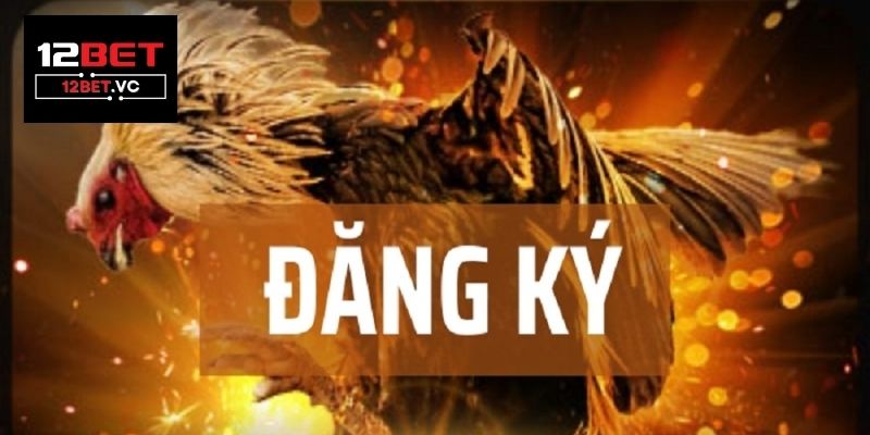 Đá gà 12bet