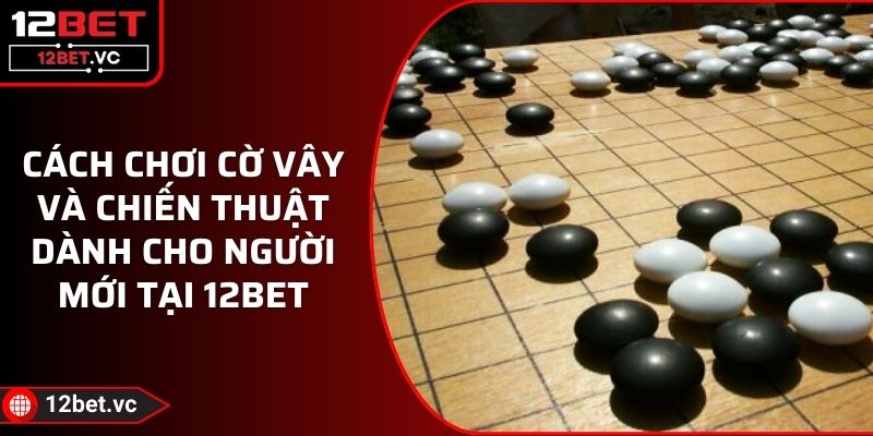 Cách Chơi Cờ Vây Và Chiến Thuật Dành Cho Người Mới Tại 12BET
