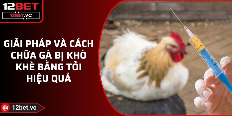 Giải Pháp Và Cách Chữa Gà Bị Khò Khè Bằng Tỏi Hiệu Quả