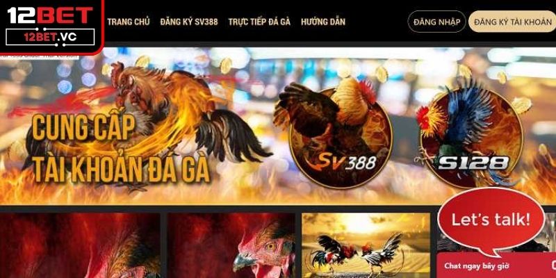 Thông tin tổng quan về trang đá gà mạng 12BET 